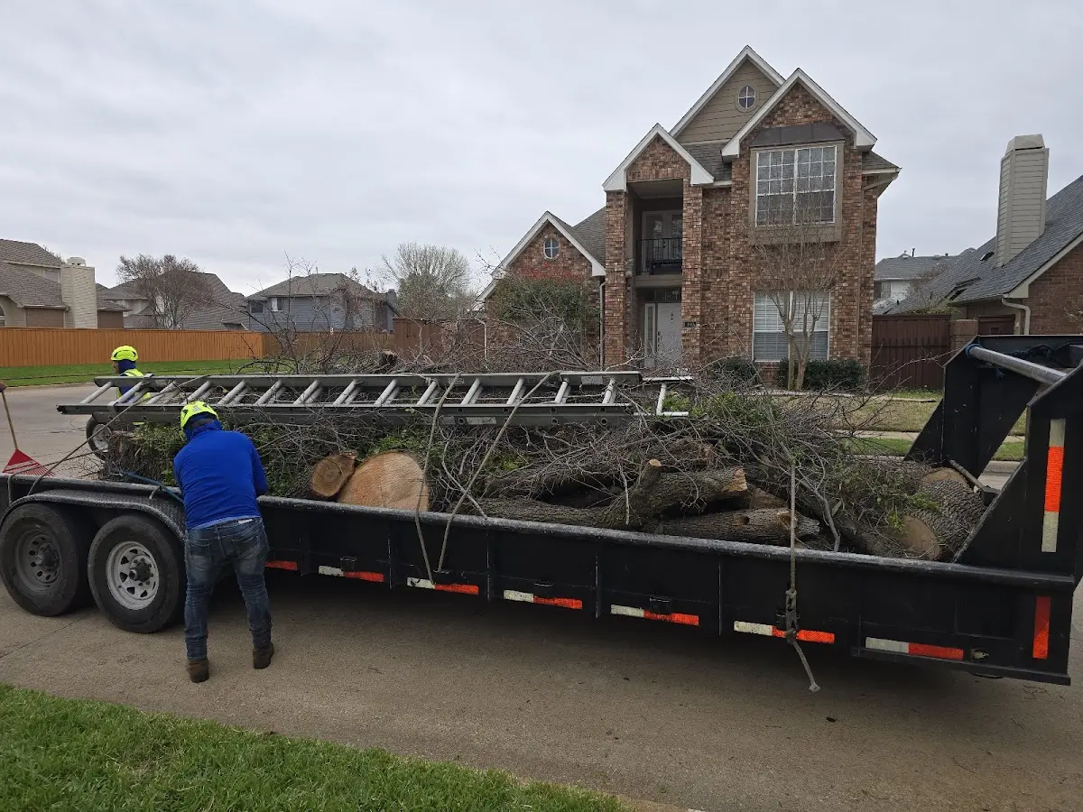 Expert Tree Pest Control with proper safety equipment in Commercial Point